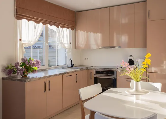 Dom wakacyjny Vip Vasara